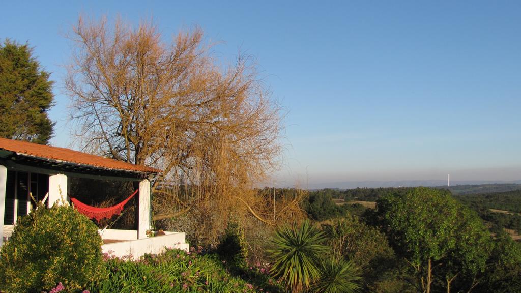 Casa Dos Mangues Pensionat São Martinho do Porto Eksteriør billede